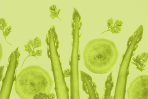 Journal für Ernährungsmedizin 